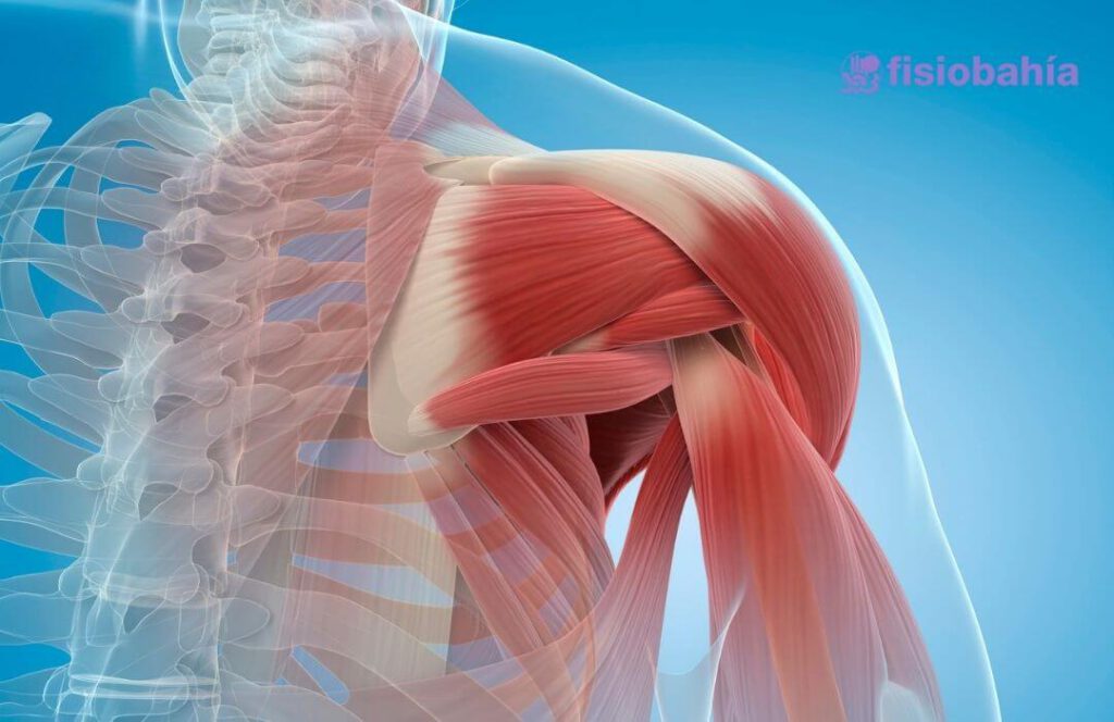 Tendinitis en el hombro por postura al dormir