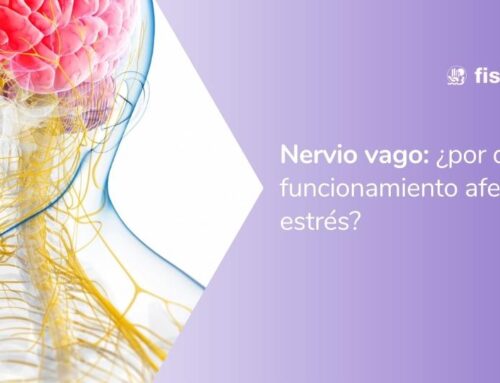 ¿Qué es el «nervio vago», cómo funciona y cómo puede ayudarte a reducir el estrés?